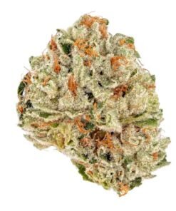 Fuego Hemp 4G Melonade