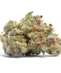 Fuego Hemp 4G Cookies & Kream