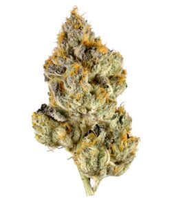 Fuego Hemp Lemon Cherry Gelato