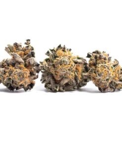 Fuego Hemp 4G Jealousy Mintz