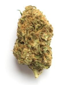 Fuego Hemp Bubblegum Runtz Private Reserve