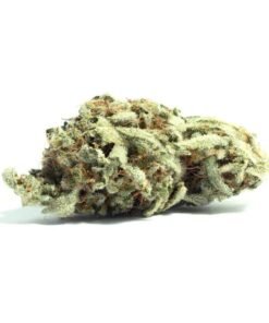 Fuego Hemp 4G Rainbow Sherbet