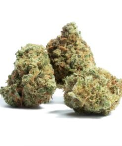 Fuego Hemp 4G Black Cherry Gelato