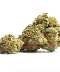 Fuego Hemp 4G Blue Runtz