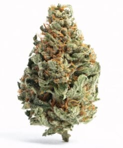 Fuego Hemp 4G Cosmic Cookies