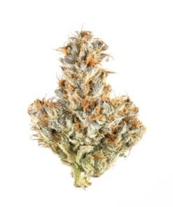 Fuego Hemp 4G White Truffle