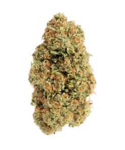 Fuego Hemp 4G Watermelon Runtz